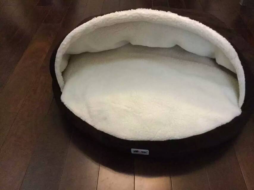 Half Roof Cat House, Brown
