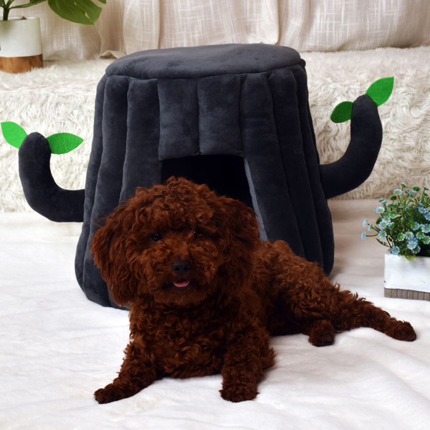 Plush Tree Stump Cat House