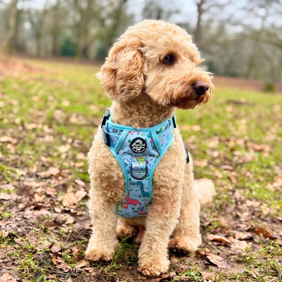 Rugged Rover Harness, Dinosaur