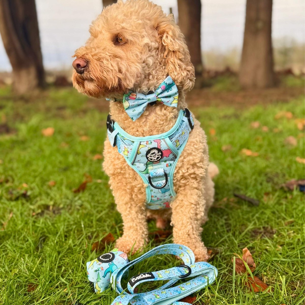 Rugged Rover Harness, Dinosaur