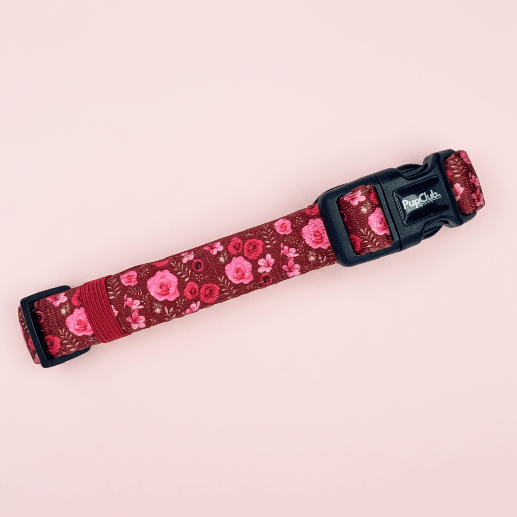 Burgundy Bloom Dog Collar