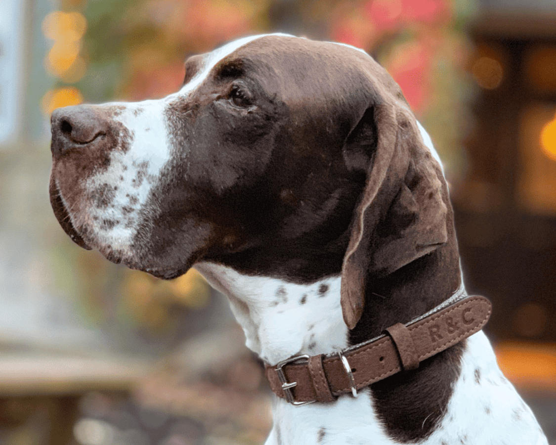 Lincoln Tweed Collar, Brown