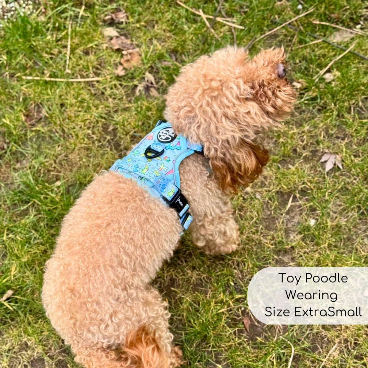 Rugged Rover Harness, Dinosaur