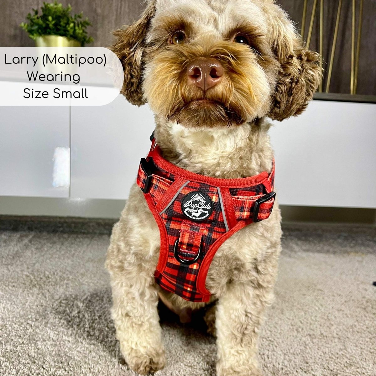 Rugged Rover, Red Tartan