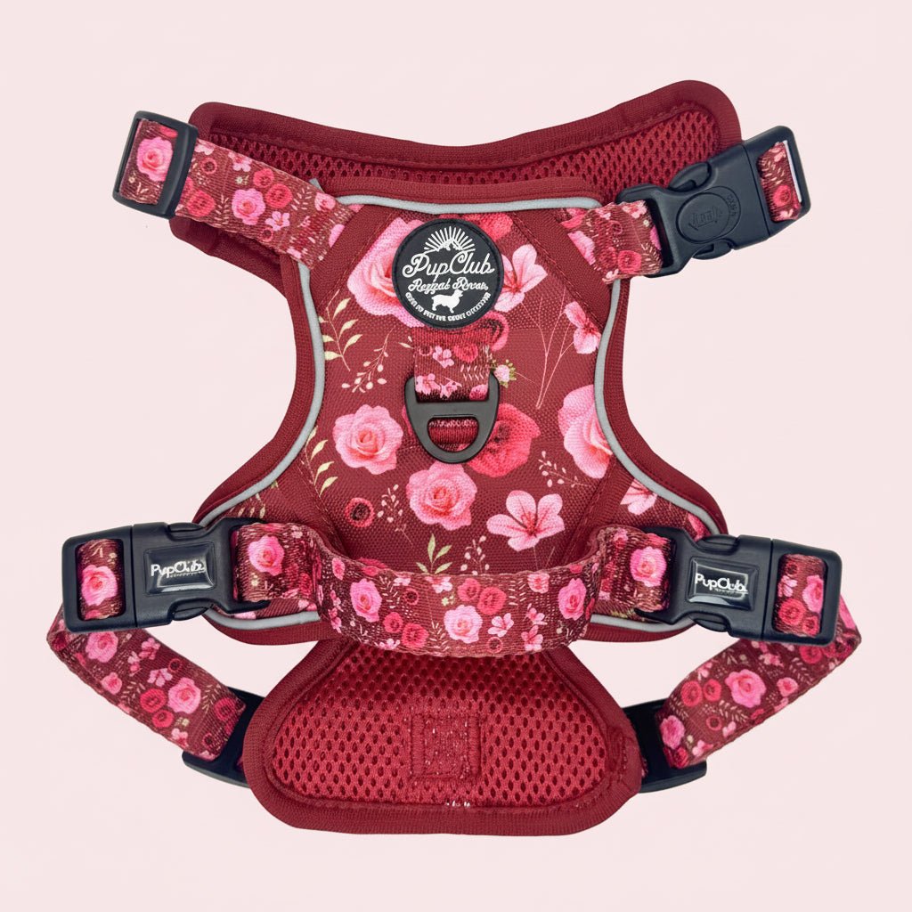 Rugged Rover Harness, Burgundy