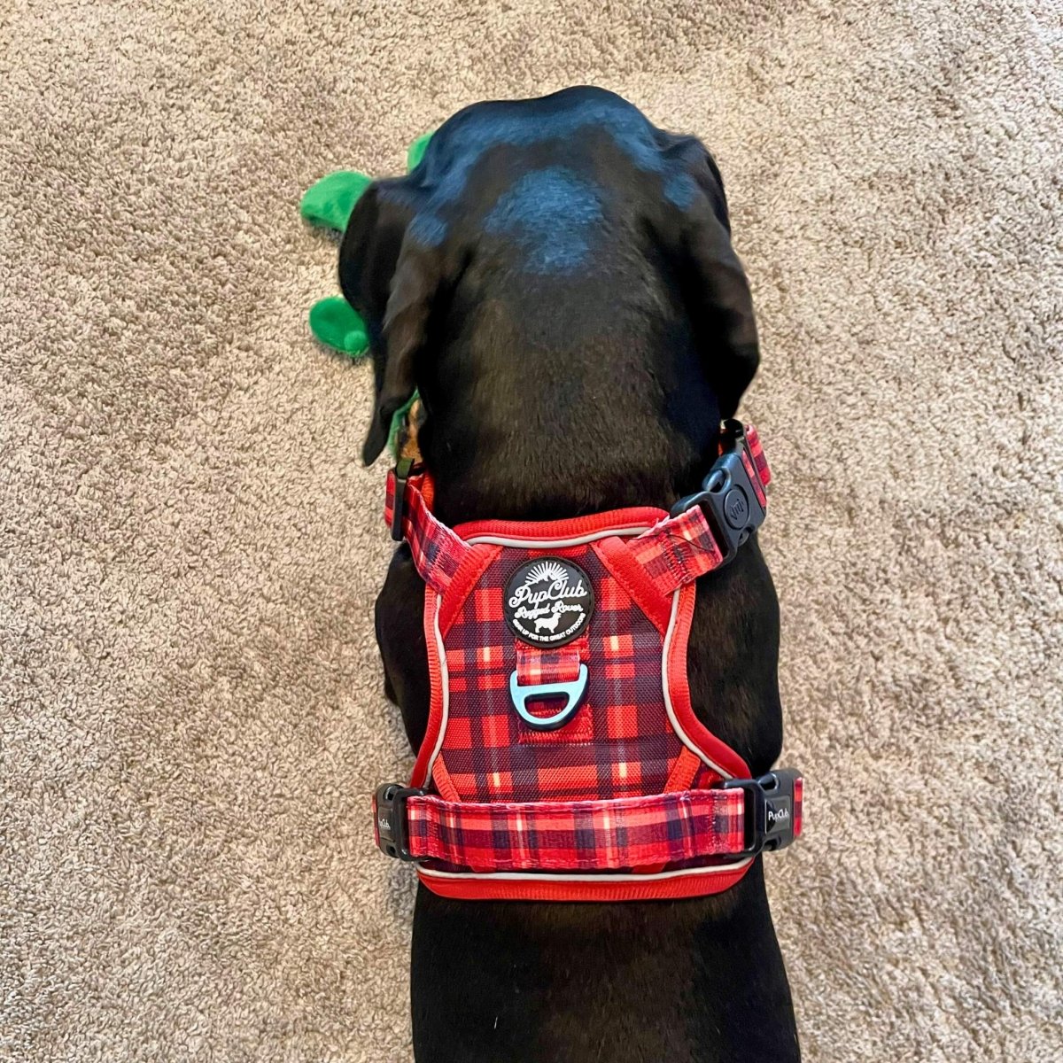 Rugged Rover, Red Tartan